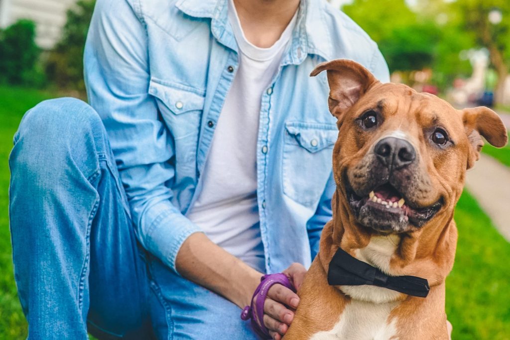 Antiparasitarios externos e internos