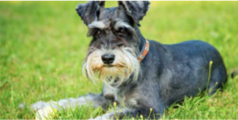 Captura de Pantalla 2023 02 19 a las 16.54.48