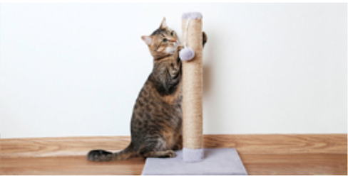 Captura de Pantalla 2023 02 19 a las 16.57.28