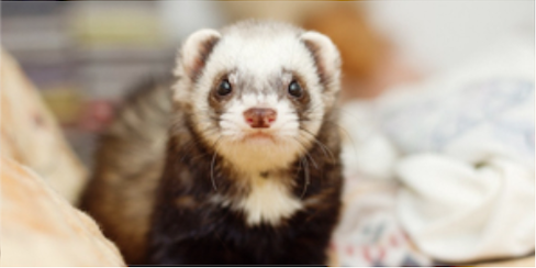 Captura de Pantalla 2023 02 19 a las 16.58.10