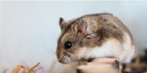 Captura de Pantalla 2023 02 19 a las 16.58.31