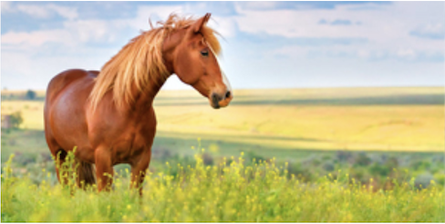 Captura de Pantalla 2023 02 19 a las 16.59.19