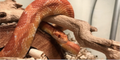 Captura de Pantalla 2023 02 19 a las 16.59.42