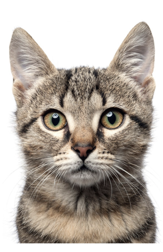 Captura de Pantalla 2023 02 19 a las 17.46.13