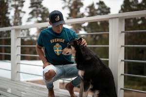 Perro deprimido