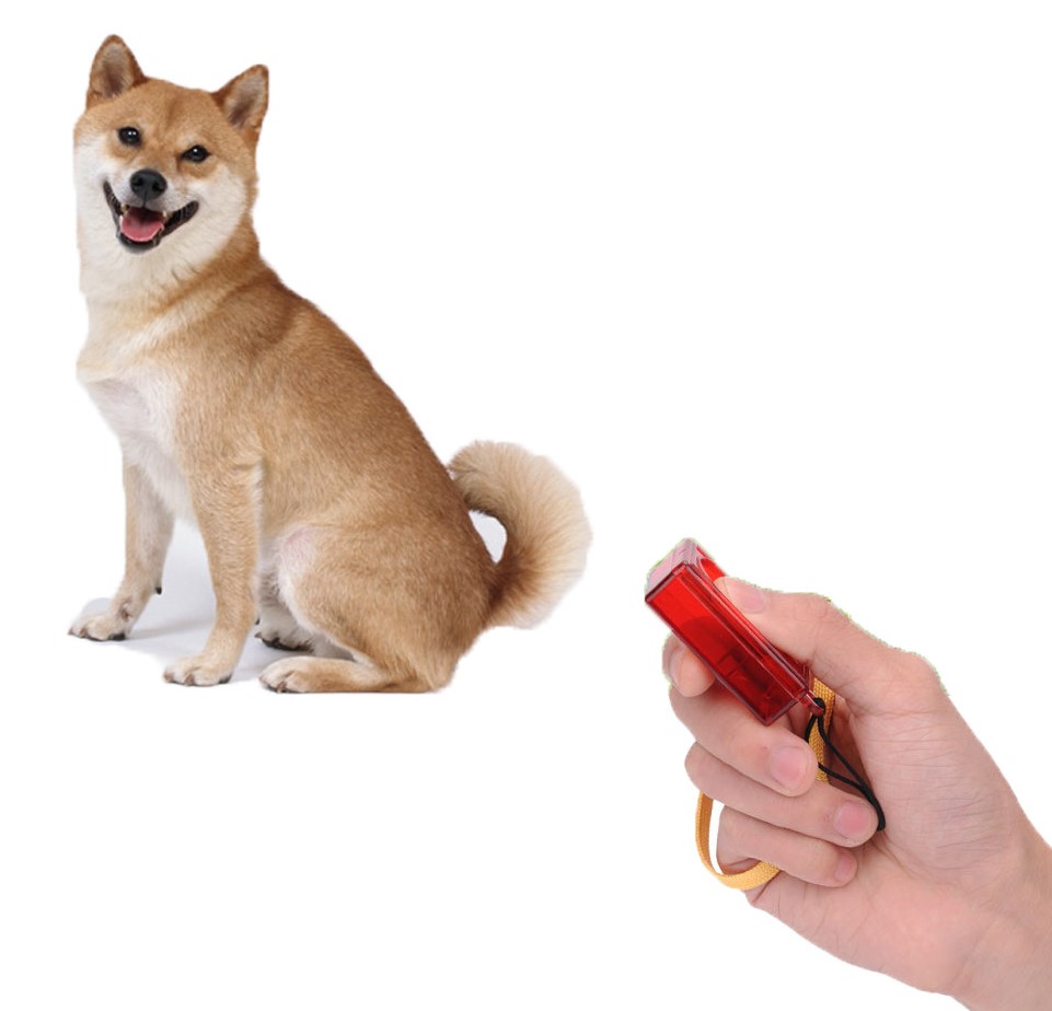 Clicker para adiestramiento canino