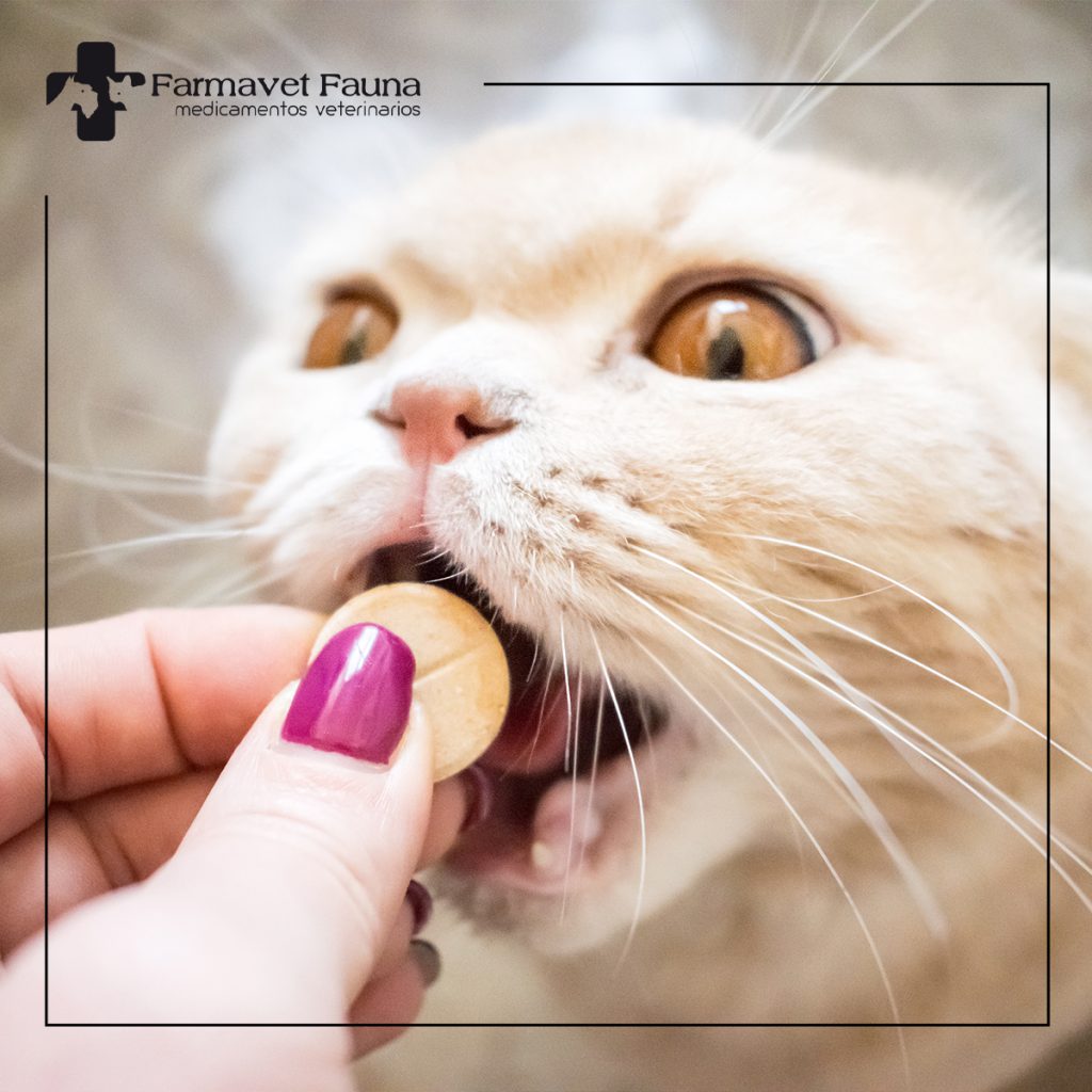 por-que-nautomedicar mascota peligroso